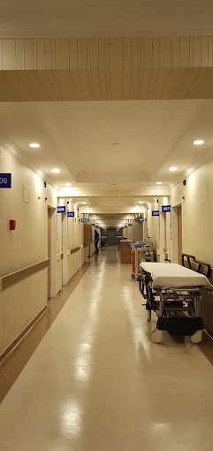 100. Yıl Hospital's rest room