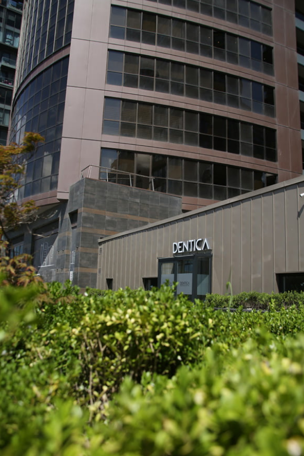 Dentica International