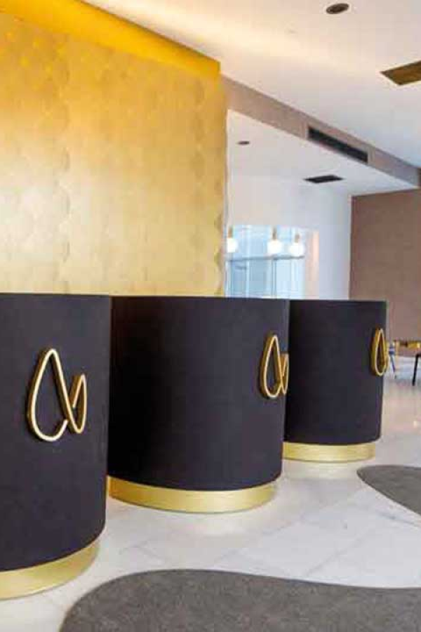 Estetik International reception