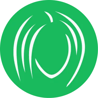 Greffe de cheveux icon