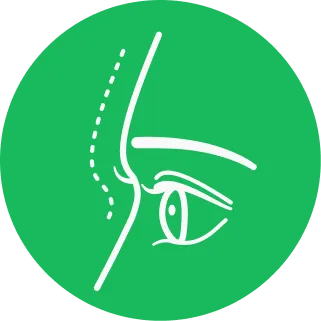 Chirurgie plastique icon