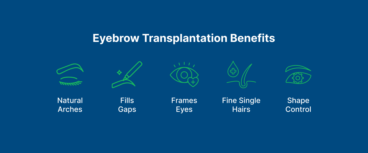 Eyebrow Transplantation Benefits