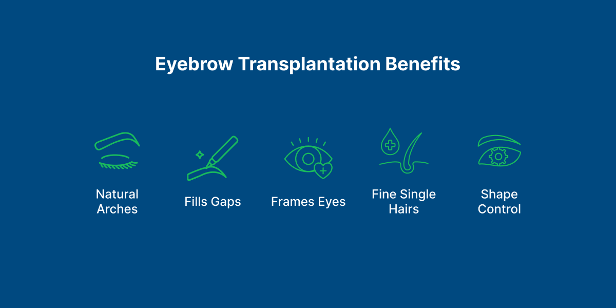 Eyebrow Transplantation
